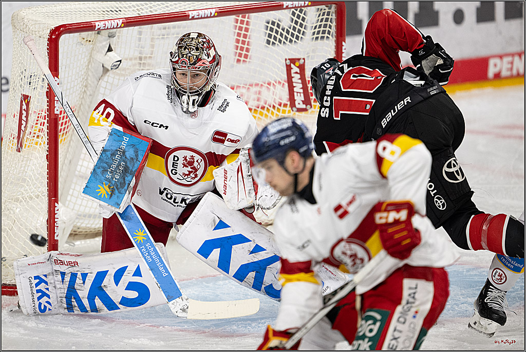 PENNY DEL 1; Kölner Haie - Düsseldorfer EG ; Köln, 16.02.2025